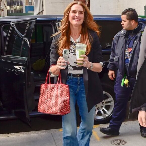 RARE Authentic Goyard Goyardine Saint Louis PM Red Shoulder Tote Bag & Pouch - Picture 3 of 14